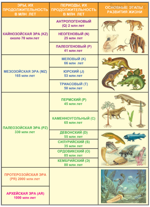 Основные этапы эволюции животных таблица. Эра Продолжительность эры млн лет таблица. Периоды развития земли в хронологическом порядке.
