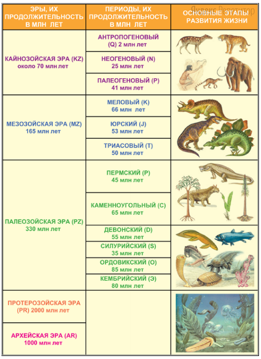 В каком периоде появились. Эра Продолжительность эры млн лет таблица. Животный мир палеозойской эры таблица. Эры в истории земли в хронологическом порядке. Эры развития земли в хронологическом порядке.
