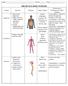 THE HUMAN BODY SYSTEMS