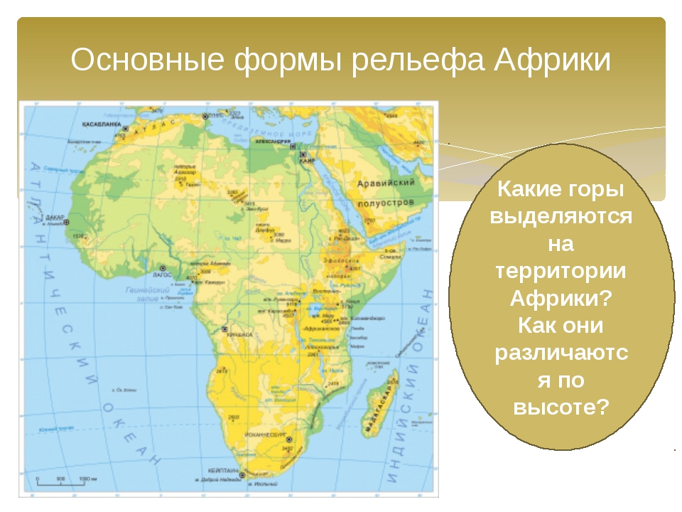 Какие объекты расположены на территории африки. Крупные формы рельефа Африки на карте. География 7 класс формы рельефа Африки. Рельеф Африки 7 класс низменности. Рельеф материка Африка 7 класс.
