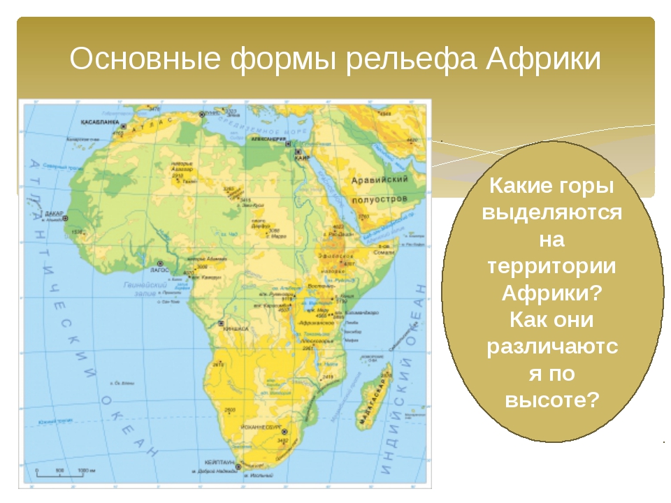 Особенности рельефа африки 7. Крупные формы рельефа Африки на карте. Рельеф Африки 7 класс низменности. Крупнейшие формы рельефа Африки. Карта Африки рельеф горы и равнины.