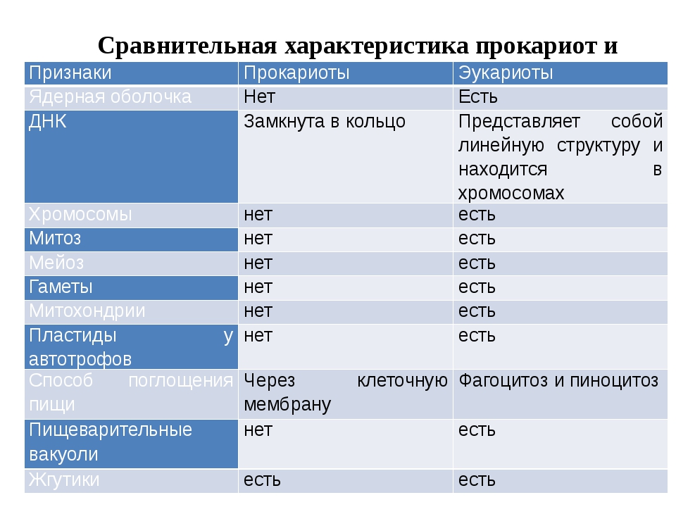 Эукариоты сравнения. Сравнительная характеристика клеток прокариот и эукариот. Сравнение клеток прокариот и эукариот таблица. Сравнение клеток прокариот и эукариот таблица 10 класс. Сравнительная таблица эукариотических и прокариотических клеток.