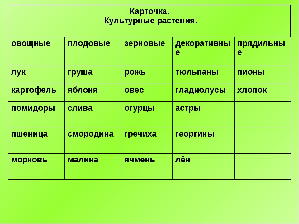 Овощные плодова ягодные зерновые растения