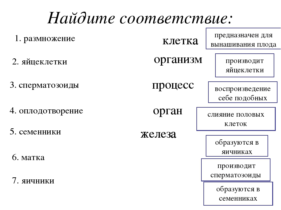 Формы размножения организмов презентация