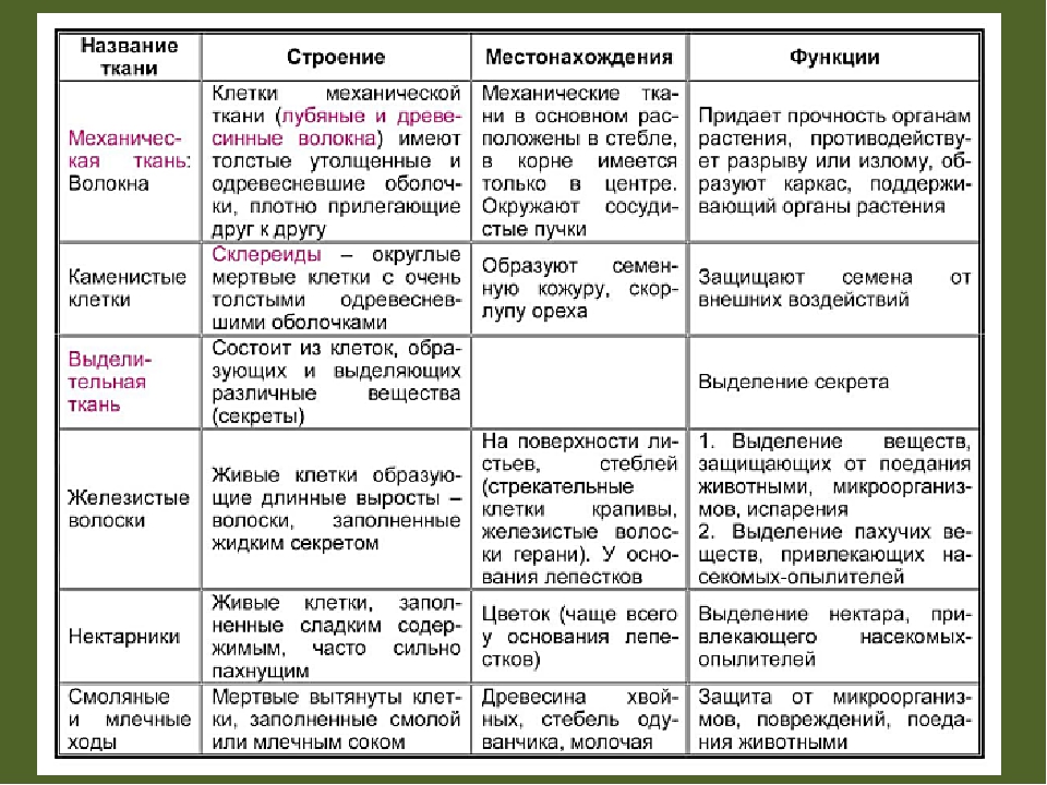 Биология 6 класс стр 108 таблица. Таблица ткани растений Тип строение функции. Таблица по биологии ткани растений строение и функции. Таблица клетка растительной ткани функции. Строение и функции растительных тканей таблица.