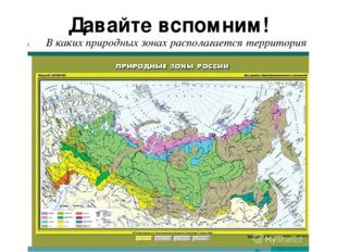 Давайте вспомним! В каких природных зонах располагается территория России? 