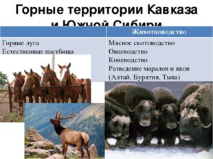 Горные территории Кавказа и Южной Сибири Животноводство Горные луга Естествен