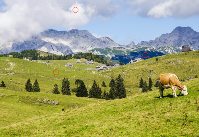 A landscape image of a cow grazing in green fields with mountainous background on a bright day. Using a light meter to check dark and light areas.