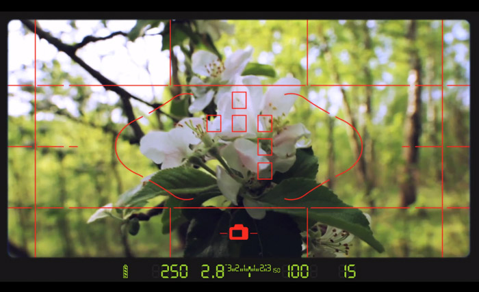Image of a camera screen interface showing a white flower. How to Use a Light Meter