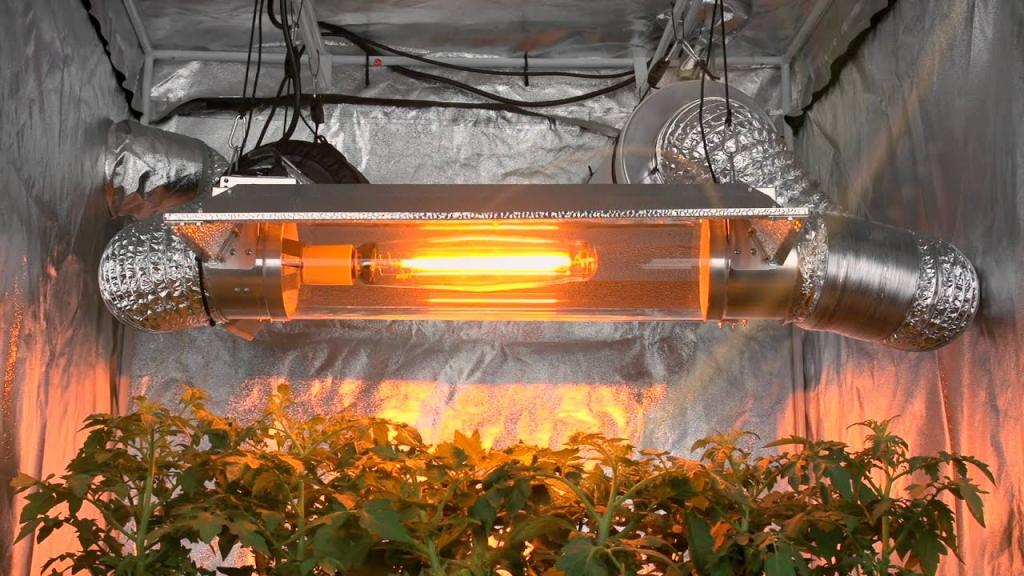 искусственное освещение для выращивания рассады