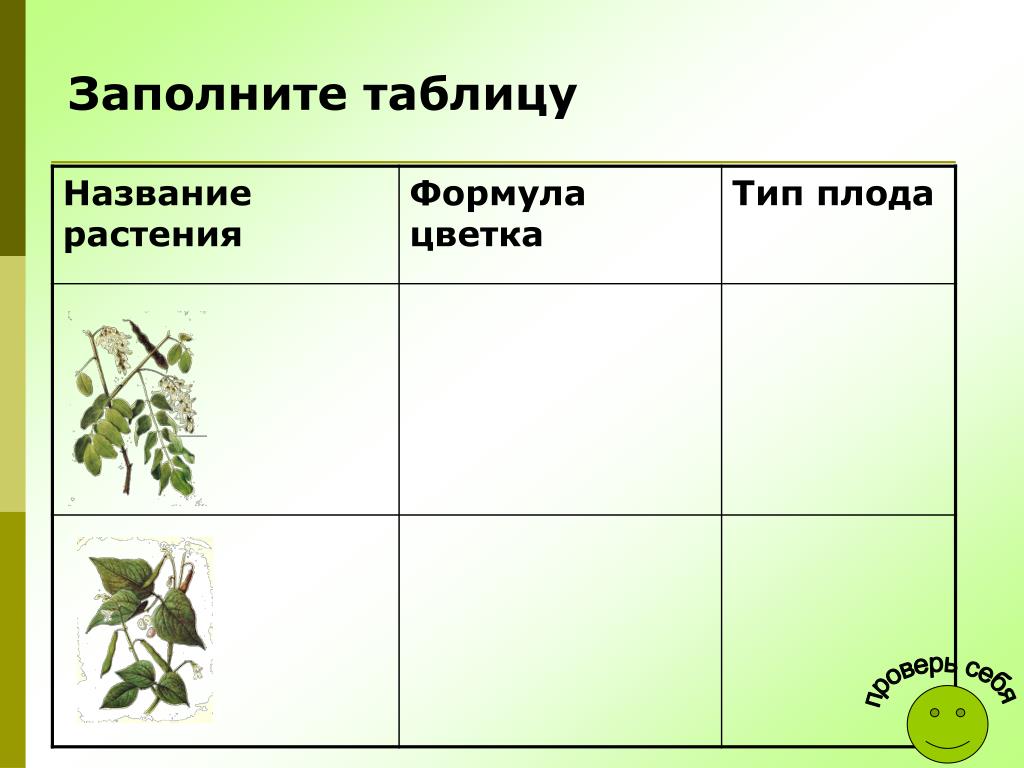 Таблица растений 6 класс. Заполните таблицу растения. Таблица по растительностями. Таблица по растениям. Таблица название растения.