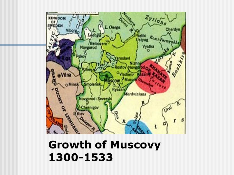 Growth of Muscovy