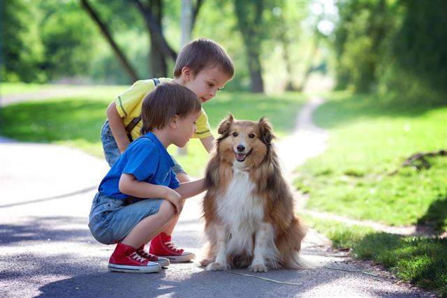 Kids with dog