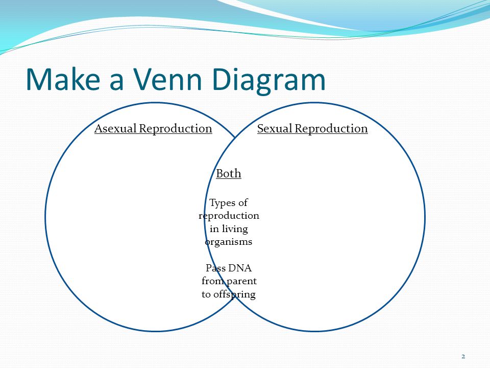 Make a Venn Diagram Asexual Reproduction Sexual Reproduction Both
