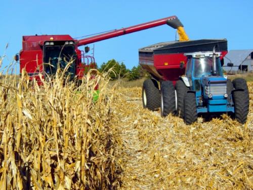 уборка кукурузных полей в провинции США